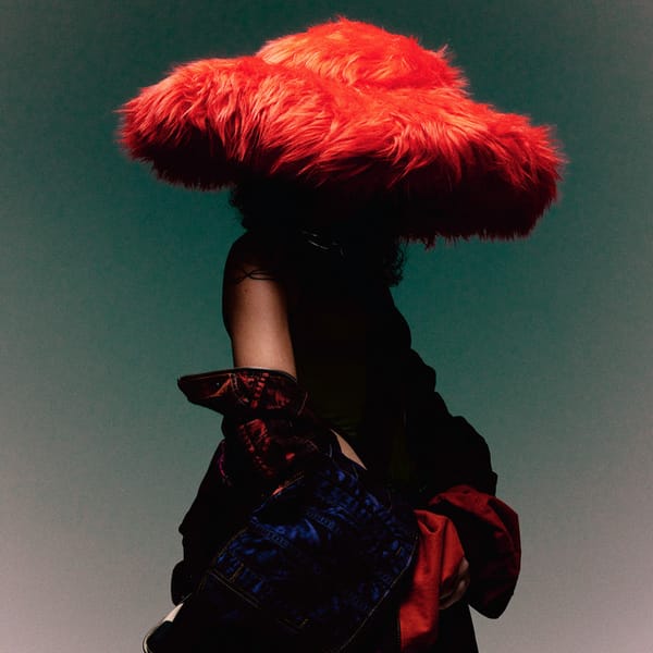 Pochette originale de l'album « Sentimental »